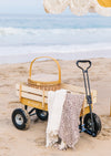 Beach Carts