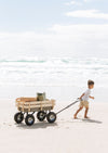 Beach Carts